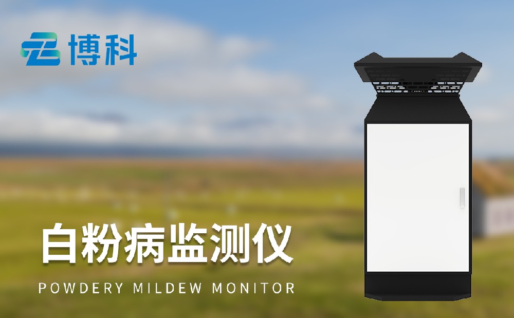 小麥白粉病監(jiān)測設(shè)備更加精準防治小麥白粉病